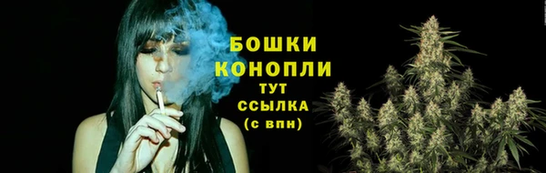первитин Козельск