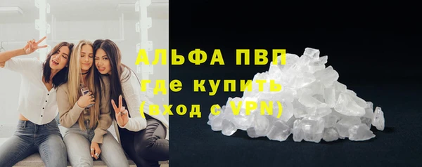 стафф Коряжма