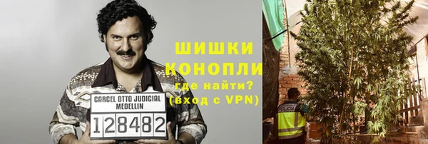 стафф Коряжма