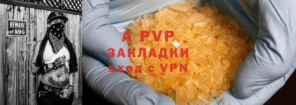 стафф Коряжма
