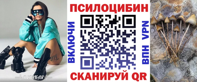мега ССЫЛКА Березники Псилоцибиновые грибы мицелий купить наркотик