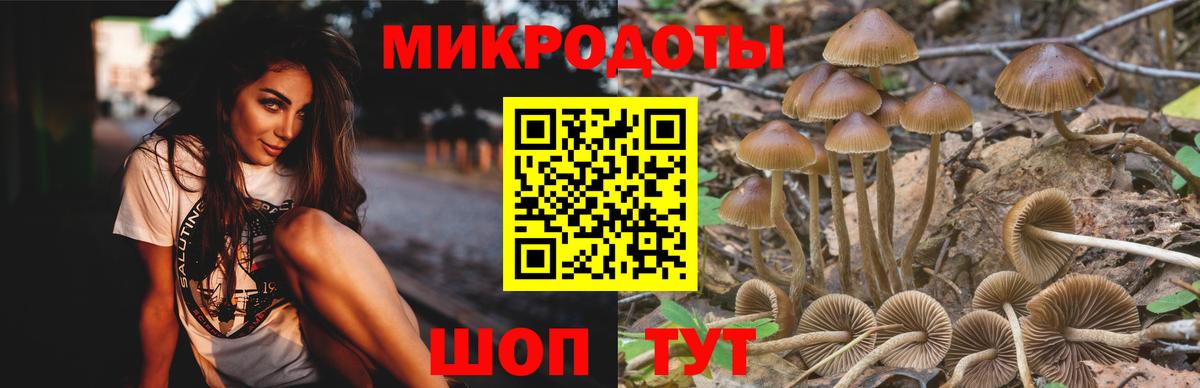 Галлюциногенные грибы прущие грибы Березники